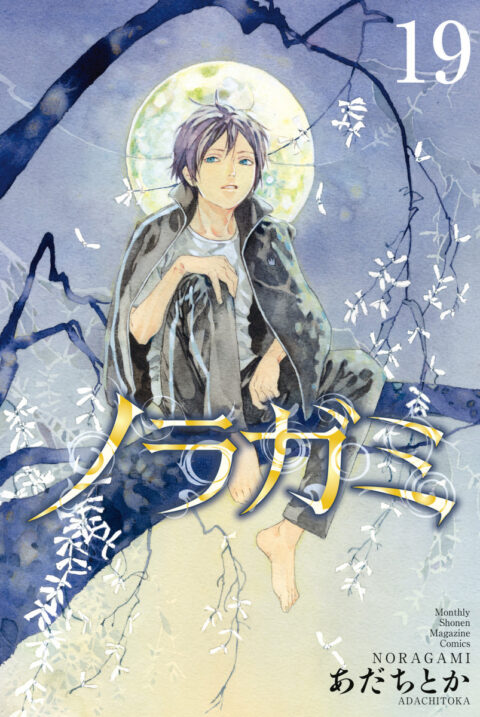 Noragami – Stray God, Vol. 19