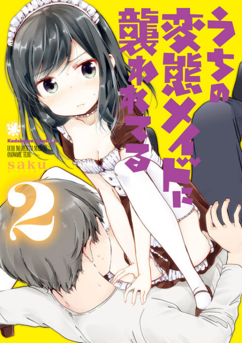 The Maid at my House, Vol. 2