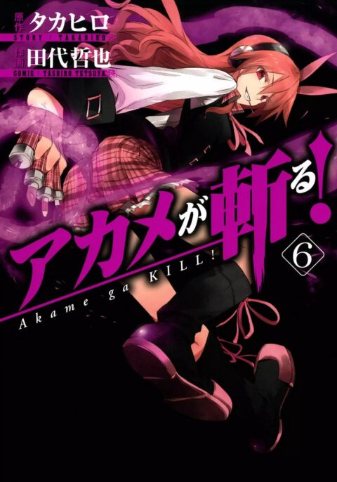 Akame ga KILL!, Vol. 6