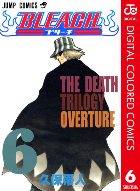 Bleach, Vol. 6