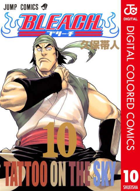 Bleach, Vol. 10