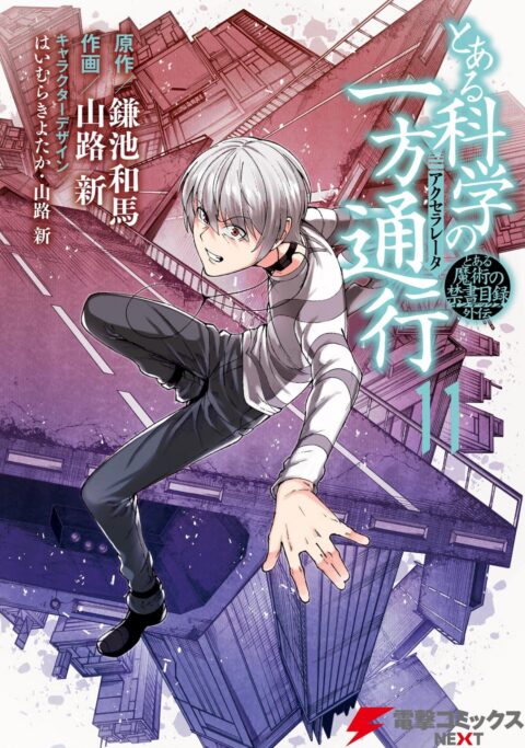 A Certain Scientific Accelerator, Vol. 11