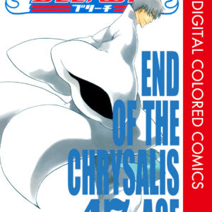 Bleach, Vol. 47