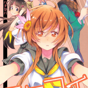 Nisekoi: False Love, Vol. 11