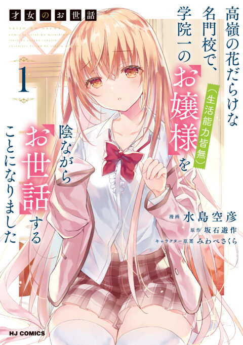 A Tale of the Secret Saint, Vol. 1