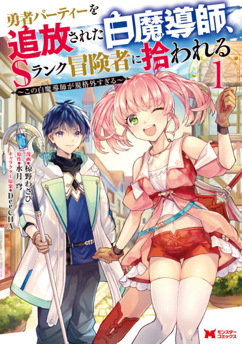 Healer for the Shadow Hero, Vol. 1