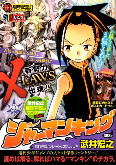 Shaman King, Vol. 6