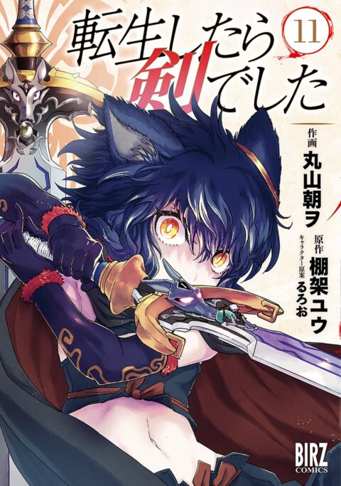 Reincarnated as a Sword, Vol. 11