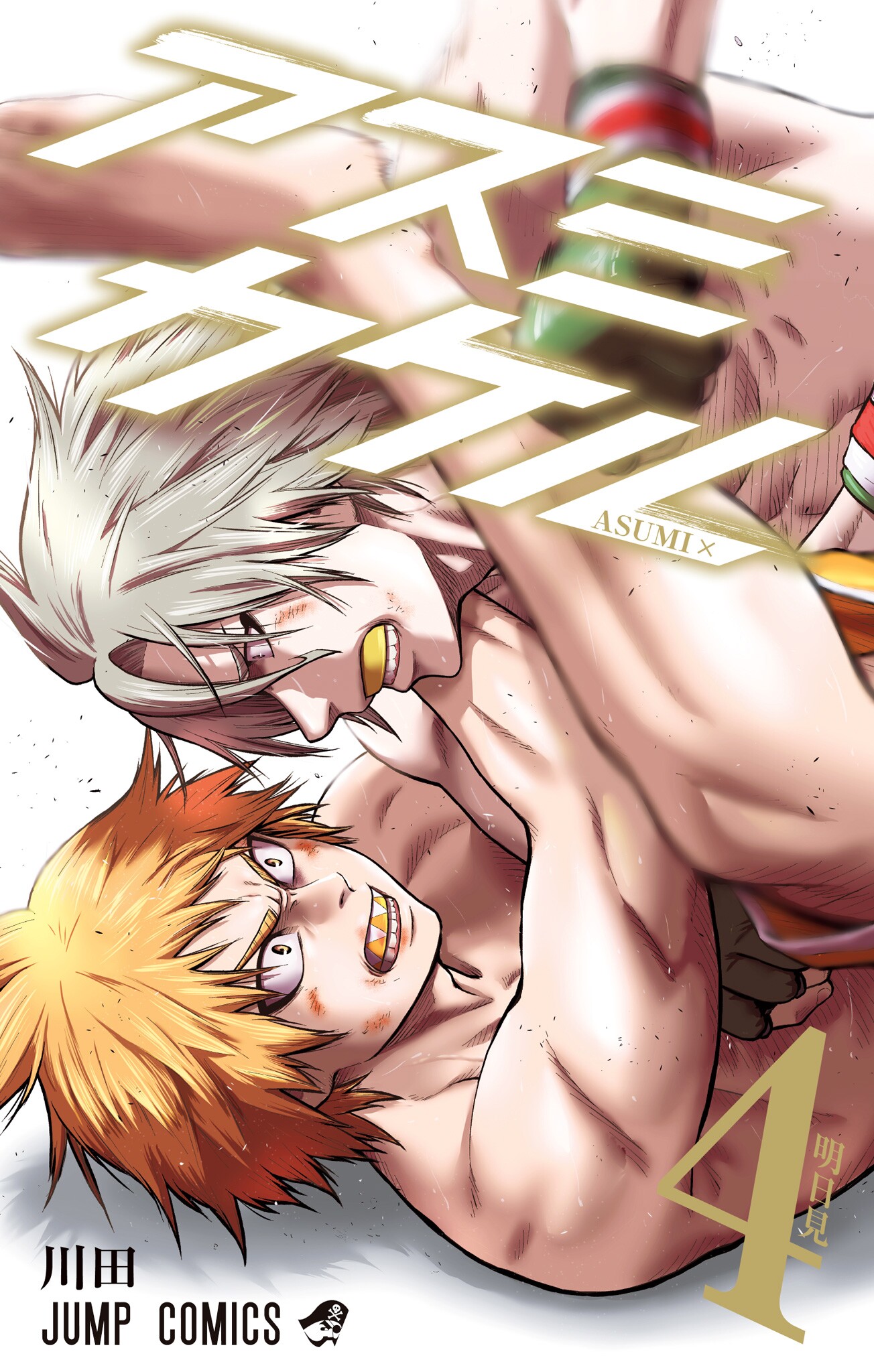 Martial Master Asumi, Vol. 4