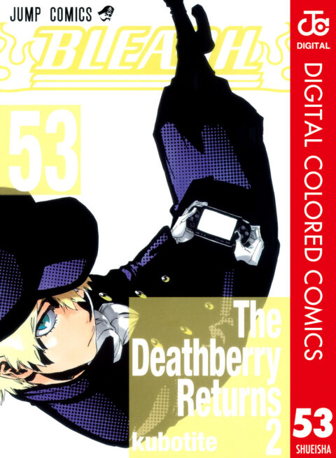 Bleach, Vol. 53