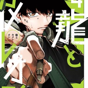 Dragon and Chameleon, Vol. 4
