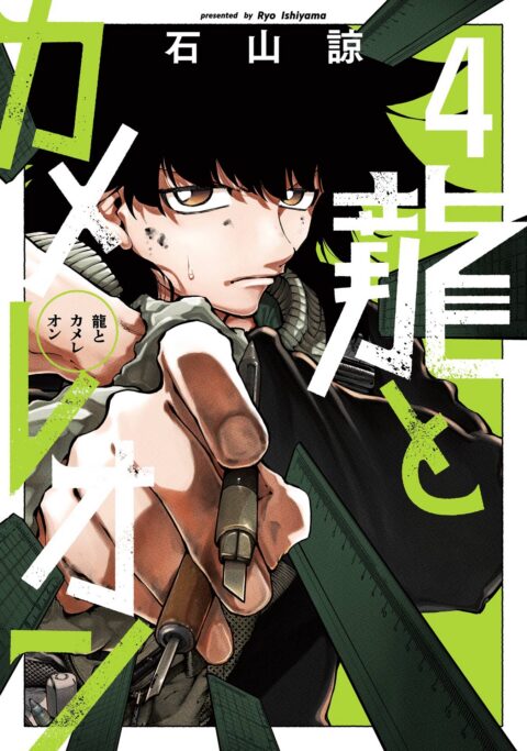Dragon and Chameleon, Vol. 4