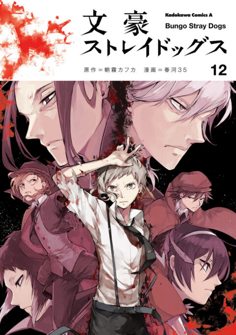 Bungo Stray Dogs, Vol. 12
