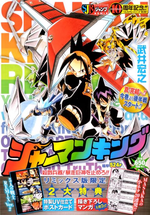 Shaman King, Vol. 10