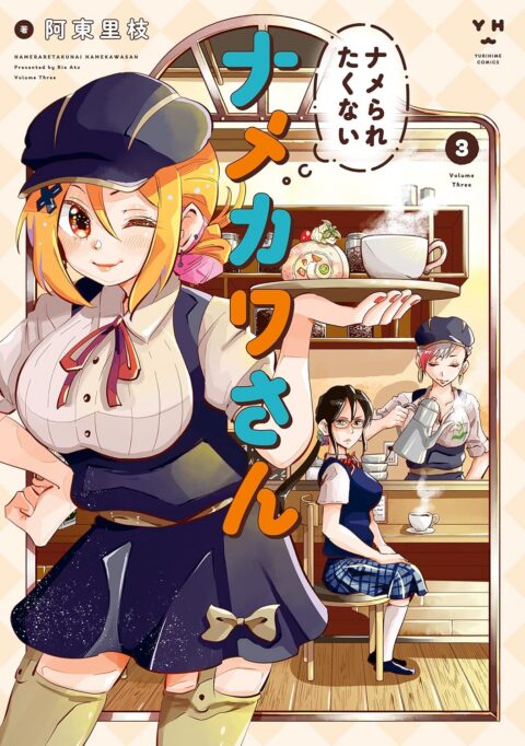 Namekawa-san Won’t Take a Licking!, Vol. 3