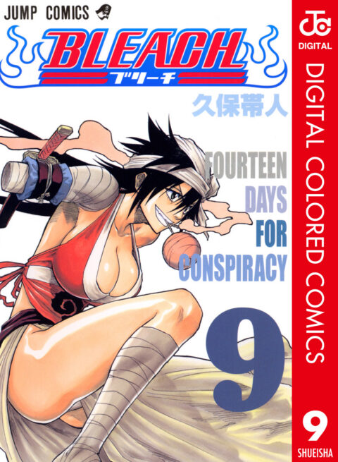 Bleach, Vol. 9