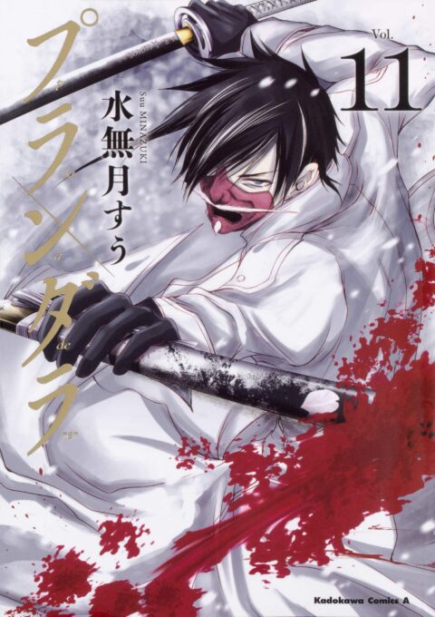 Plunderer, Vol. 11