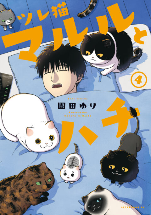 Cat Companions Maruru and Hachi, Vol. 4