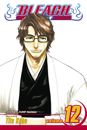Bleach, Vol. 11