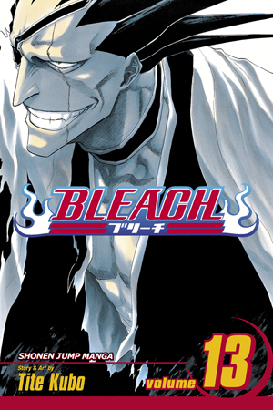 Bleach, Vol. 12