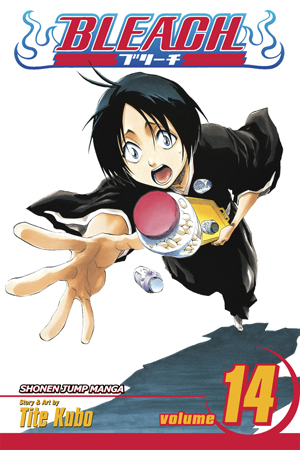 Bleach, Vol. 13