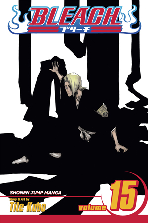 Bleach, Vol. 14