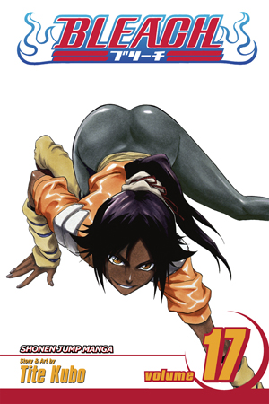 Bleach, Vol. 16