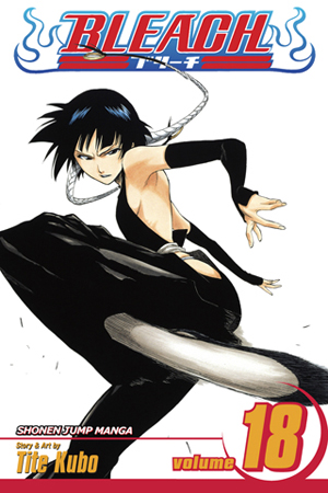 Bleach, Vol. 17