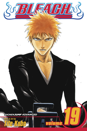 Bleach, Vol. 18