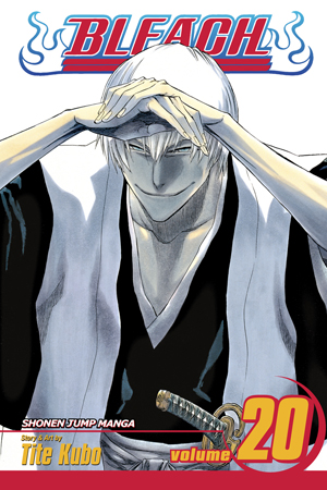 Bleach, Vol. 19