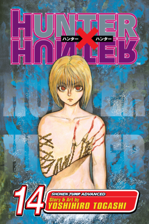Hunter x Hunter, Vol. 13
