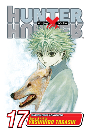 Hunter x Hunter, Vol. 16
