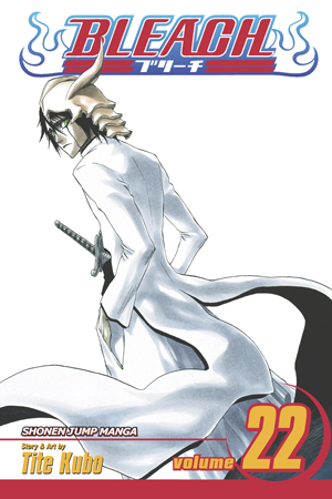 Bleach, Vol. 21