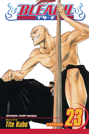 Bleach, Vol. 22