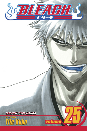 Bleach, Vol. 24
