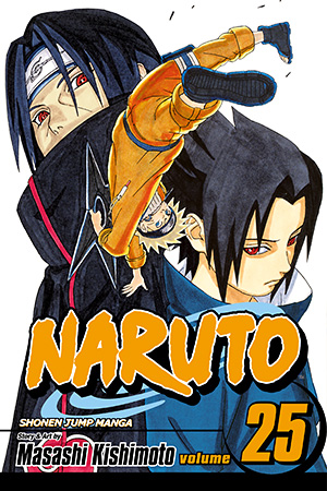 Naruto, Vol. 24