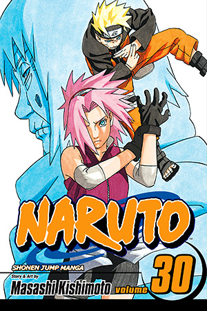 Naruto, Vol. 29