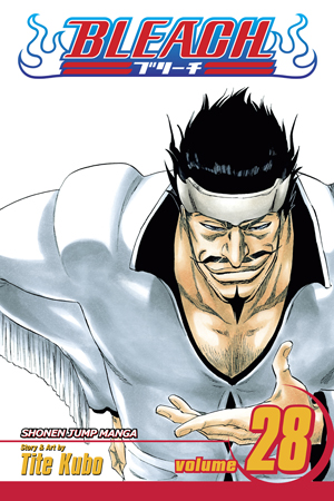 Bleach, Vol. 27