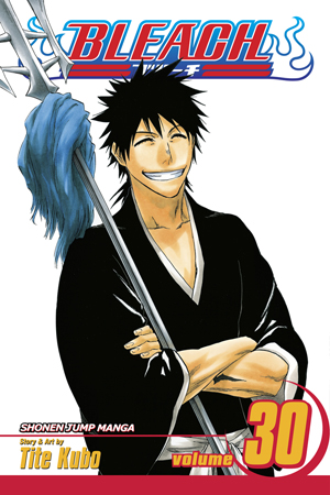 Bleach, Vol. 29