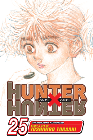 Hunter x Hunter, Vol. 24