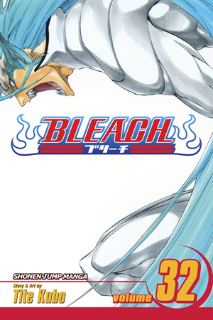 Bleach, Vol. 31