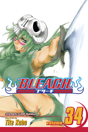 Bleach, Vol. 33