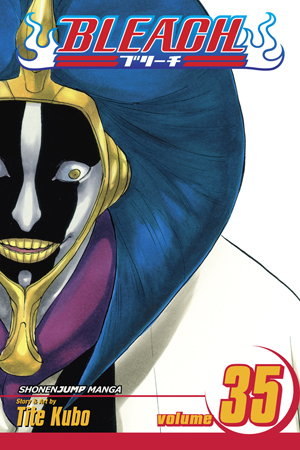 Bleach, Vol. 34