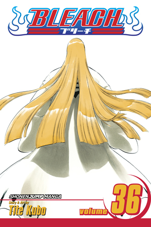 Bleach, Vol. 35