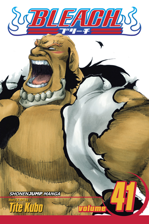 Bleach, Vol. 40