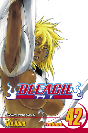 Bleach, Vol. 41