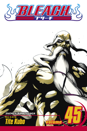 Bleach, Vol. 44