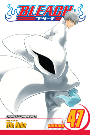 Bleach, Vol. 46