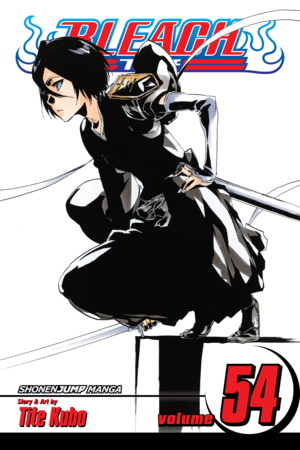 Bleach, Vol. 53