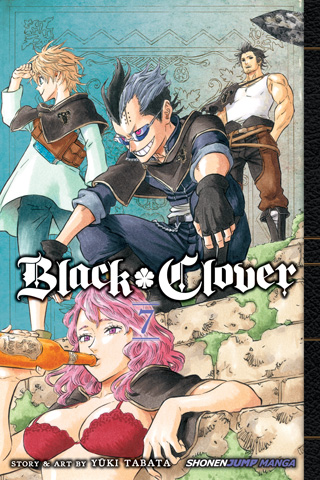 Black Cat, Vol. 6